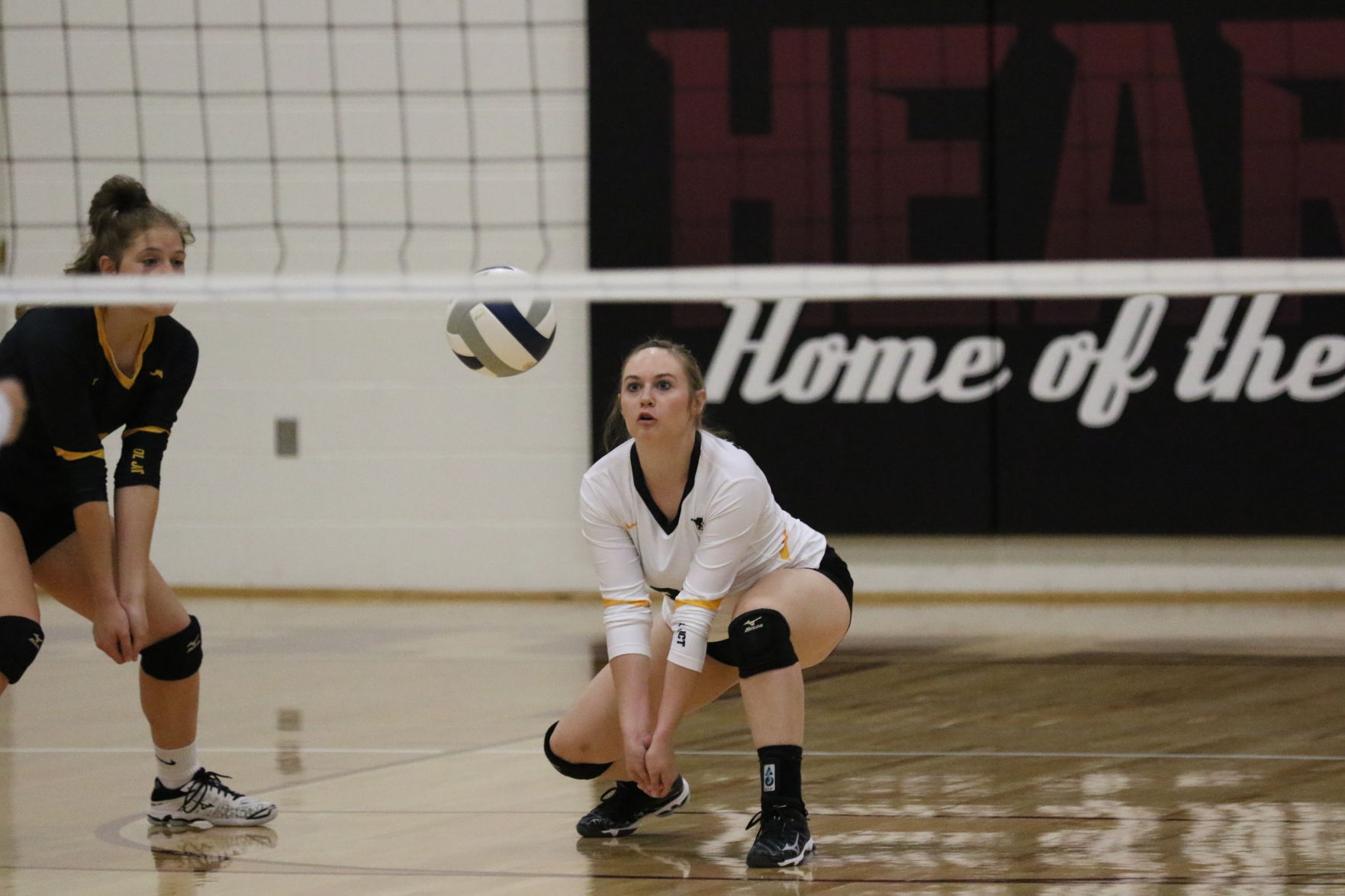 Volleyball (43).JPG
